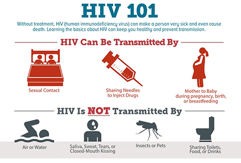 HIV 101 - Without treatment, HIV (human immunodeficiency virus) can make a person very sick and even cause death. LEarning the basics about HIV can keep you healthy and prevent transmission. HIV Can Be Transmitted By: sexual contact, sharing needles to inject drugs, mother to baby during pregnancy, birth or breastfeeding. HOV is NOT Transmitted By: air or water; saliva, tears, or closed-mouth kissing; insects or pets; sharing toilets, food or drinks.