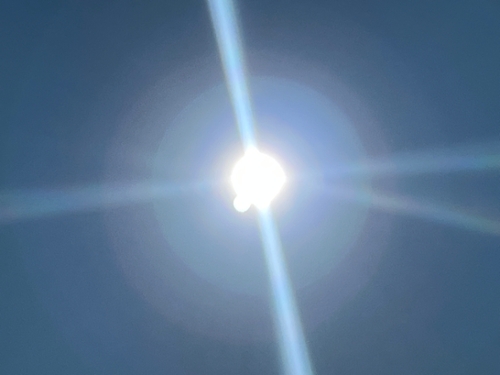 Picture of the Sun 